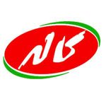 logo-4